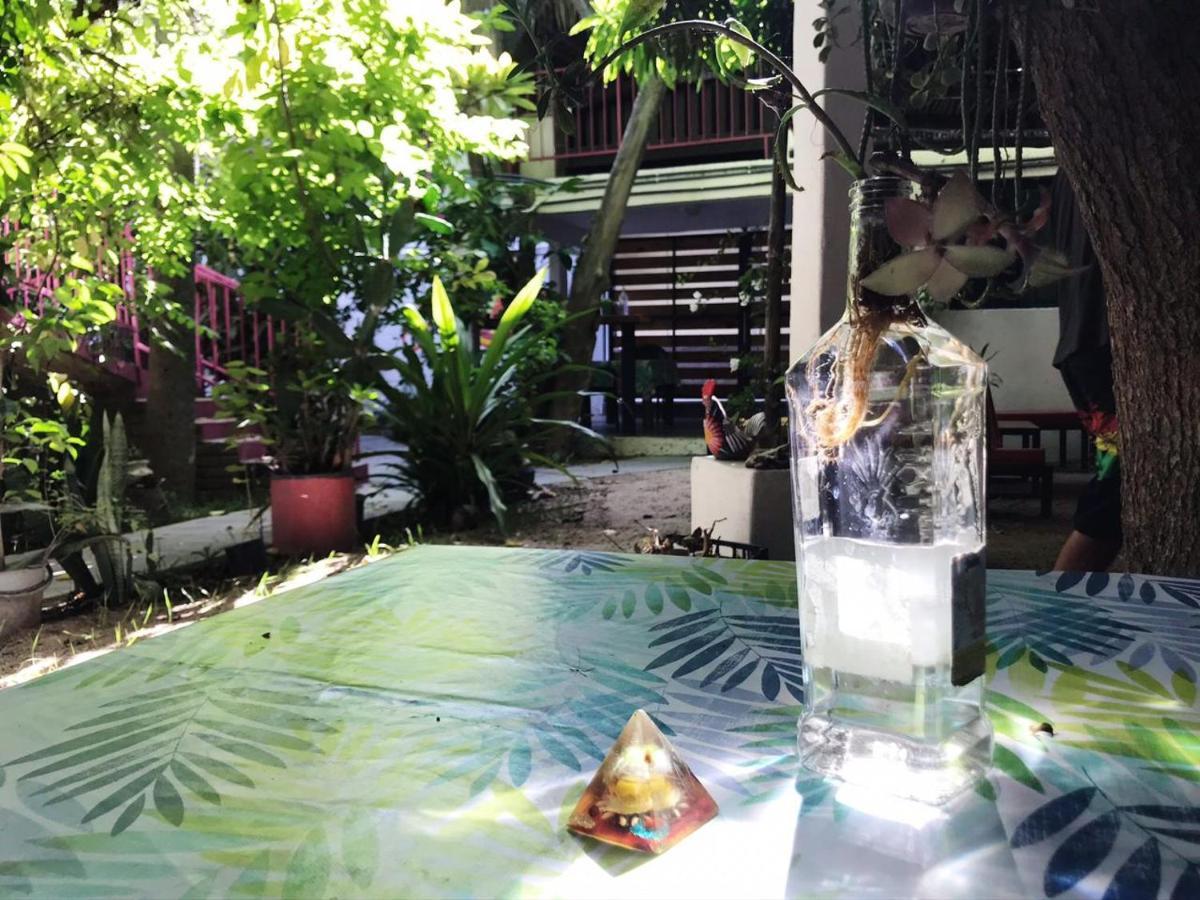 Hotel Posada Senor Manana San José del Cabo Eksteriør bilde