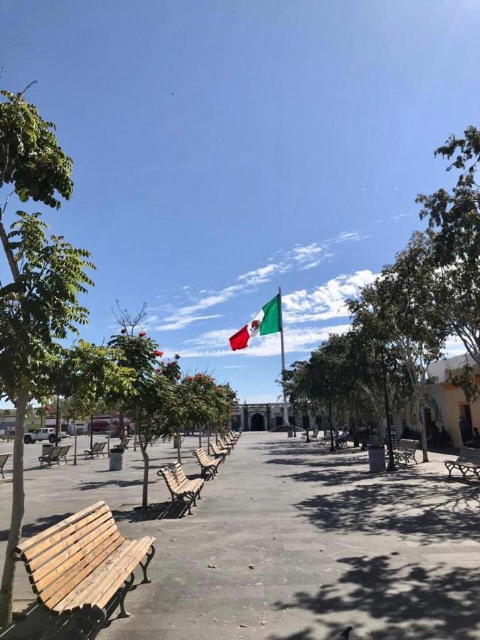 Hotel Posada Senor Manana San José del Cabo Eksteriør bilde