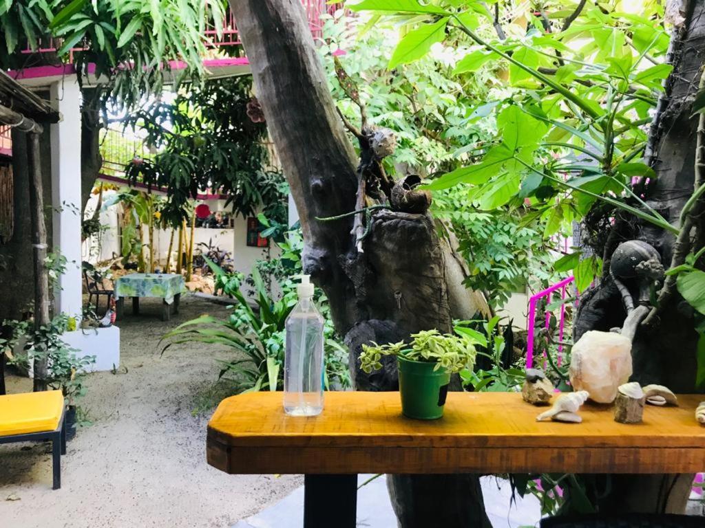 Hotel Posada Senor Manana San José del Cabo Eksteriør bilde