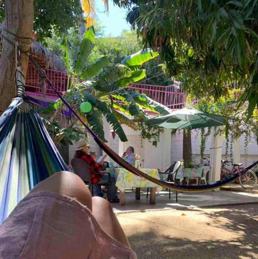 Hotel Posada Senor Manana San José del Cabo Eksteriør bilde