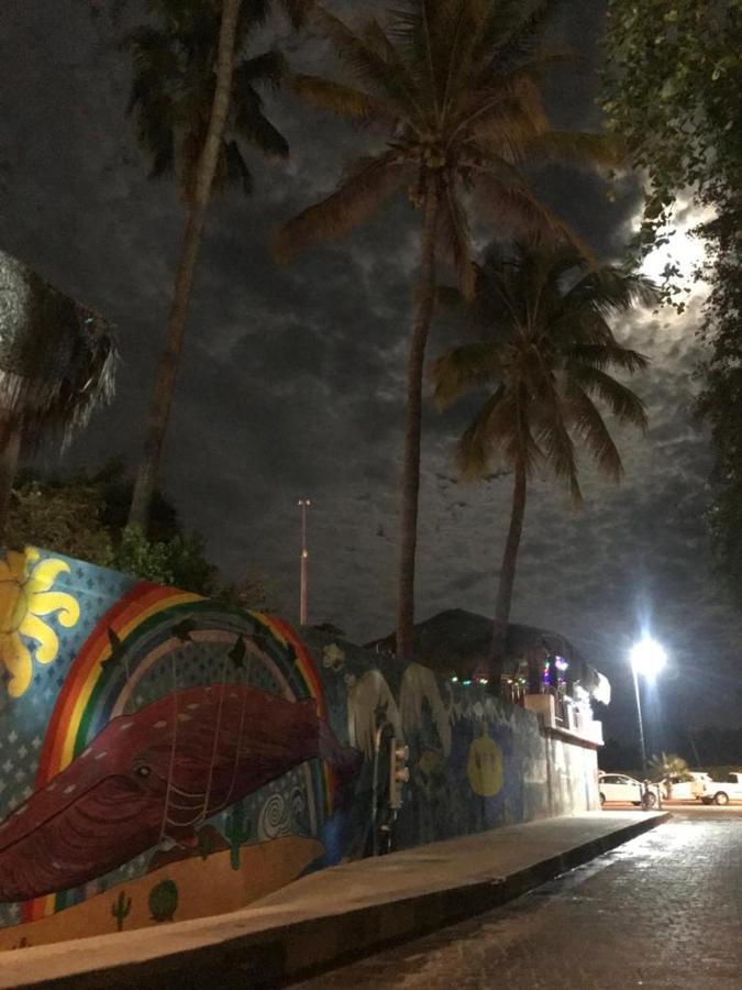 Hotel Posada Senor Manana San José del Cabo Eksteriør bilde