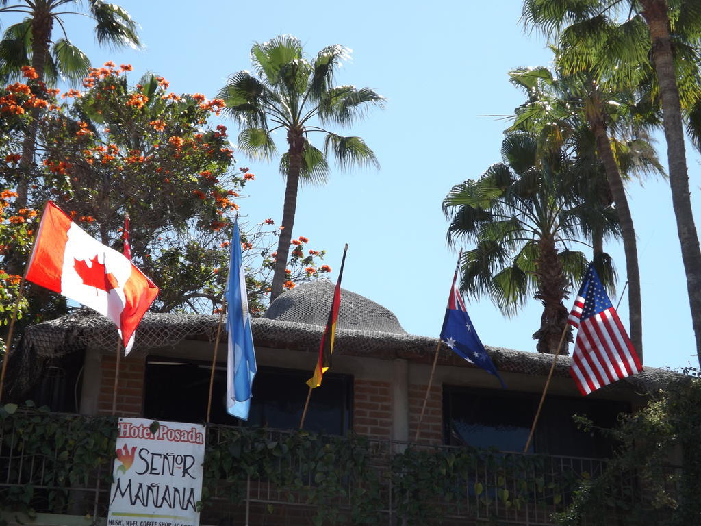 Hotel Posada Senor Manana San José del Cabo Eksteriør bilde