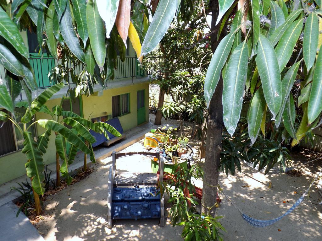 Hotel Posada Senor Manana San José del Cabo Eksteriør bilde