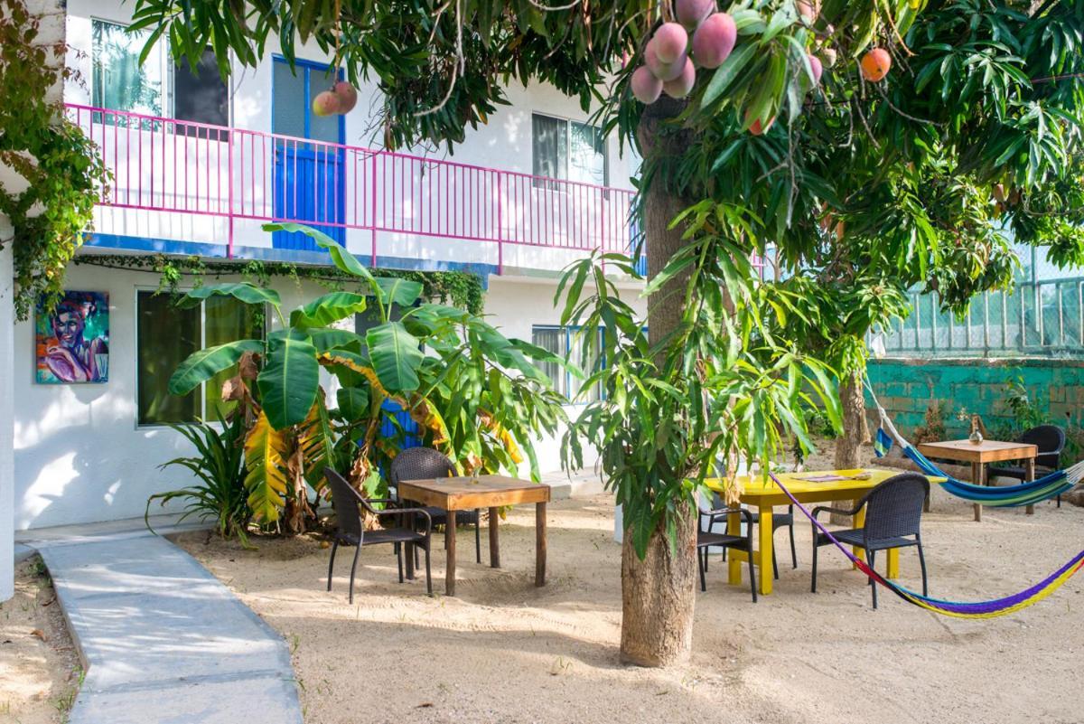 Hotel Posada Senor Manana San José del Cabo Eksteriør bilde